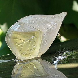 Parfum d'Été (Eau de Parfum) - Kenzo