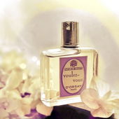 .. die Aura vergangener Zeiten .... :) (von IrisNobile)