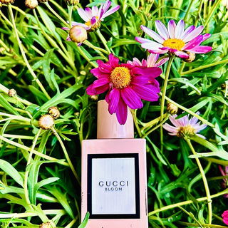 Bloom (Eau de Parfum) by Gucci
