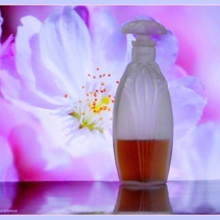 Brin de Rêve - Nice-Flore