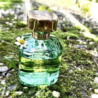 Green Butterfly - Byron Parfums
