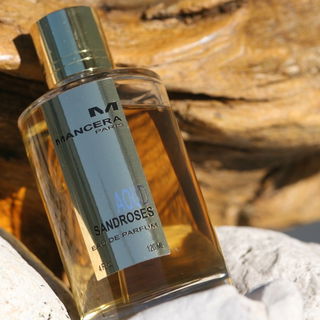 Aoud Sandroses - Mancera