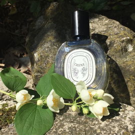 Olène - Diptyque