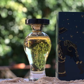 Kismet reflektiert die Welt