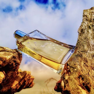 Tonka - Réminiscence