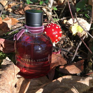 Bottega Veneta Eau de Velours von Bottega Veneta