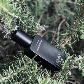 Genetic Bliss - 27 87 Perfumes