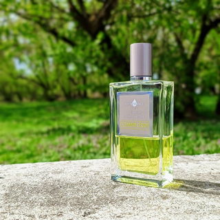 Combava-Cédrat von Affinessence