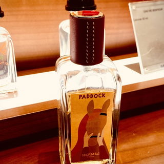 Paddock von Hermès