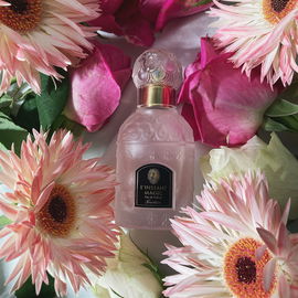 Mojave Ghost (Eau de Parfum) - Byredo