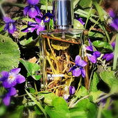 Auch im Duft lauter Veilchen. (von GreenIvy)