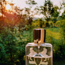 Darley - Parfums de Marly