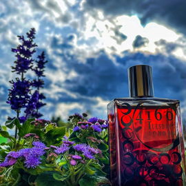 Manifesto L'Elixir - Yves Saint Laurent