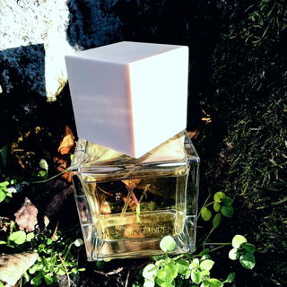 Y (2011) (Eau de Toilette) - Yves Saint Laurent