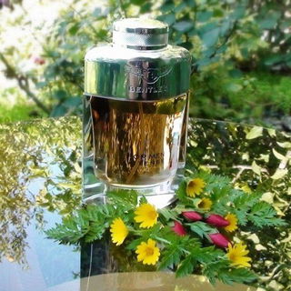 Bentley for Men Intense by Bentley