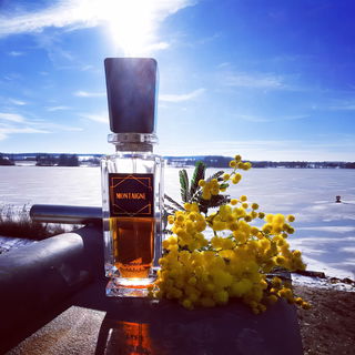 Montaigne (1986) (Parfum) von Caron