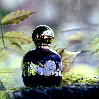 Enchanted Forest - The Vagabond Prince