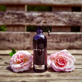 Aoud Lime - Montale