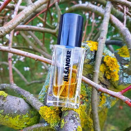 Woman III (1986) (Eau de Toilette) - Jil Sander