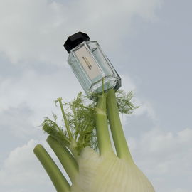 Cédrat Céruse - L'Artisan Parfumeur