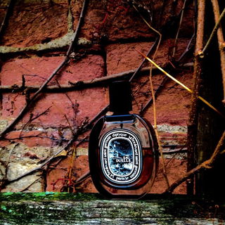 Eau Duelle (Eau de Parfum) - Diptyque
