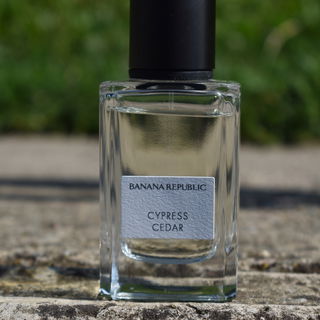 Cypress Cedar by Banana Republic