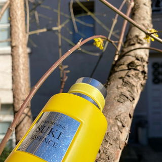 Überschäumende Blütenfülle