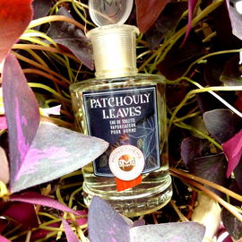 Patchouly Leaves - Monotheme