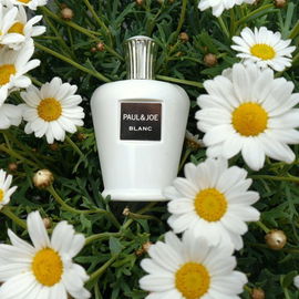 Blanc - Paul & Joe