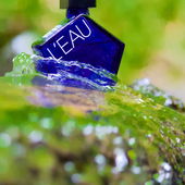 Ich muss Helena1411 und somit Heraklit zitieren und sagen: Alles fließt. DANKE! (von BBMie)