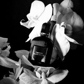 Gentleman Society (Eau de Parfum) - Givenchy