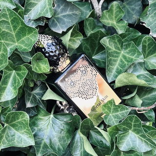 Mortal Skin by Stéphane Humbert Lucas