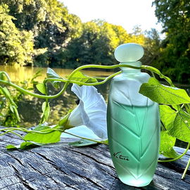 Nature (Eau de Toilette) - Yves Rocher