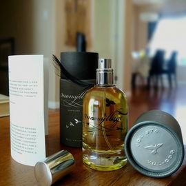 Great versatile fragrance, amber and peach/apricot.