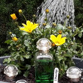 Anzuchtset für Hermes-Gärten (von Timmama)