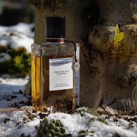 Precious Oud - Van Cleef & Arpels