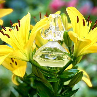 …📷🌍 Thank you. Danke schön. Merci beaucoup. Muchas gracias. Dōmo arigatō gozaimasu 💐…