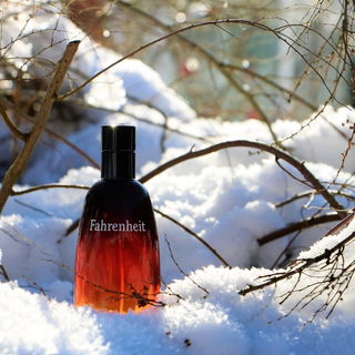 Fahrenheit (Eau de Toilette) - Dior