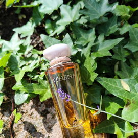 Athena - Maison Alhambra
