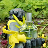 Entspannen auf der Sommerwiese (von GreenIvy)