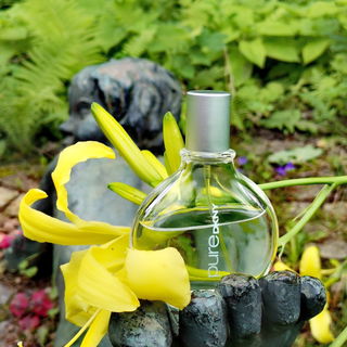 Entspannen auf der Sommerwiese