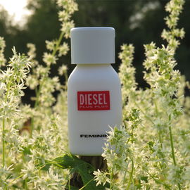 Plus Plus Feminine - Diesel