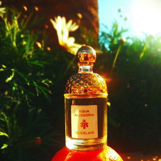 Aqua Allegoria Mandarine Basilic - Guerlain