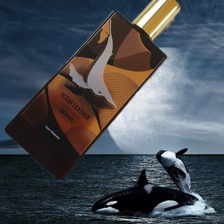 Ocean Leather - Memo Paris