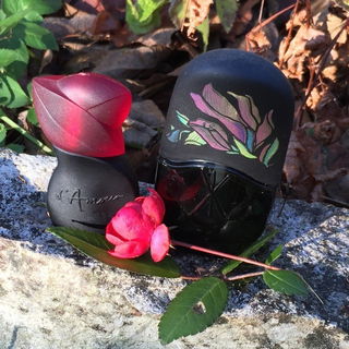 Le Jardin d'Amour (Eau de Toilette) - Max Factor