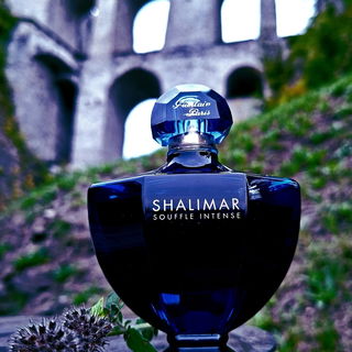 Shalimar Souffle Intense von Guerlain