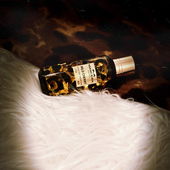 Dark sweet wild cherry (von MariaS)