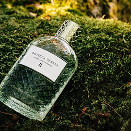Parco Palladiano II: Cipresso - Bottega Veneta