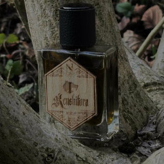 Kenshitora by Nebiru Parfvms