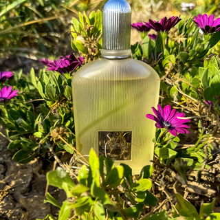 Grey Vetiver (Eau de Parfum) by Tom Ford